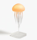 Lampe Décorative Jelly | Éclairage d’Ambiance